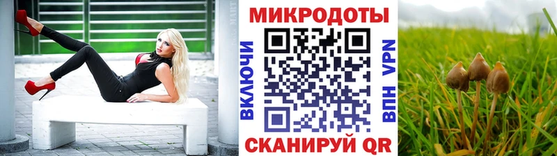 Псилоцибиновые грибы Psilocybine cubensis  Новая Усмань 
